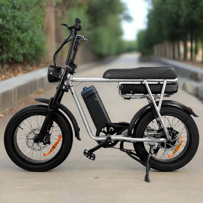 7Go EB Power 48V Electric Bike silver/black