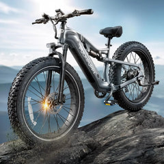 PUCKIPUPPY 1000W Electric Bike