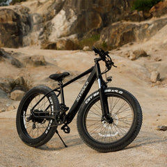 SIVROCK V1 Mountain Electric Bike