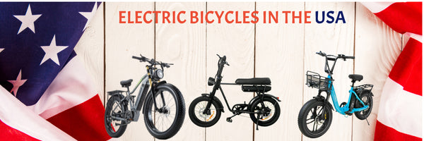 Electric Bike Online Store Montana